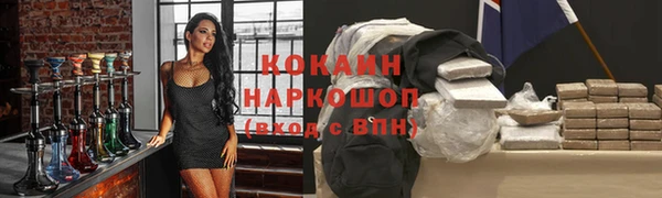 сатива Абаза