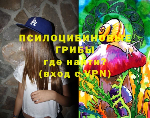сатива Абаза