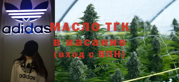 сатива Абаза