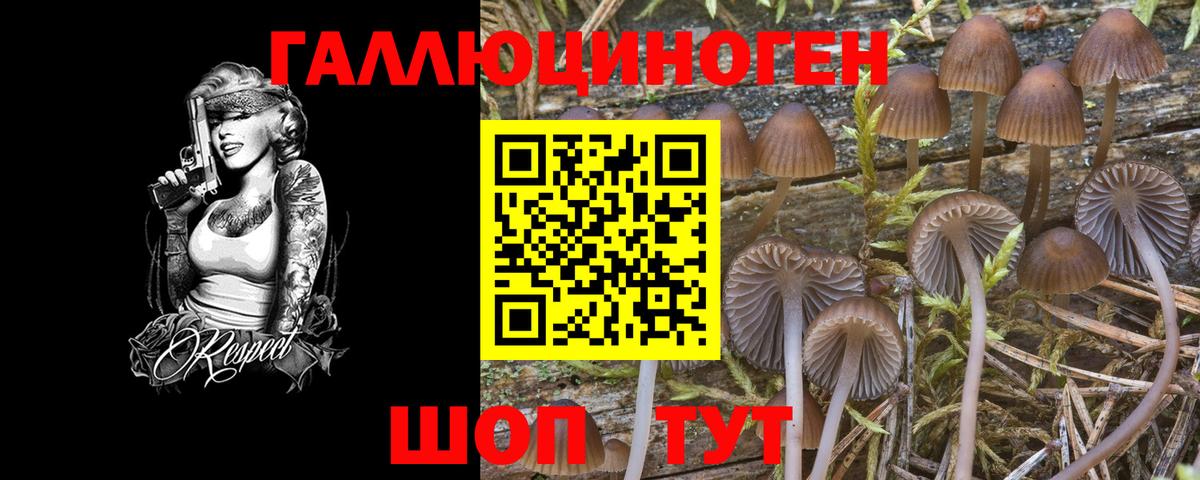 Галлюциногенные грибы MAGIC MUSHROOMS Кудымкар